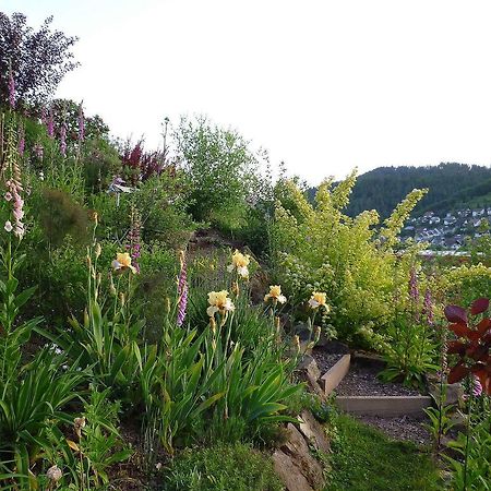 Ferienwohnung Hugelgarten 오페나우 외부 사진