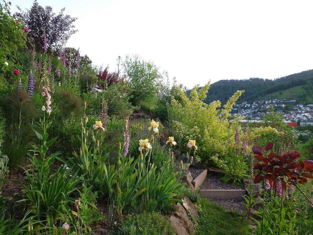 Ferienwohnung Hugelgarten 오페나우 외부 사진
