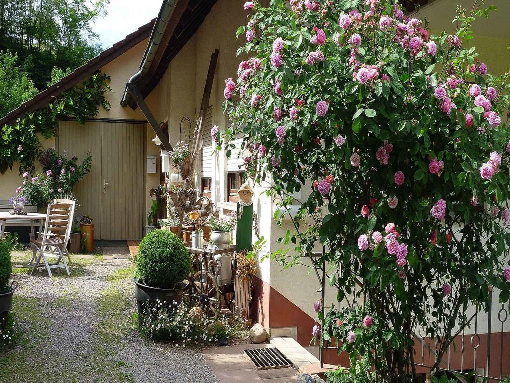 Ferienwohnung Hugelgarten 오페나우 외부 사진